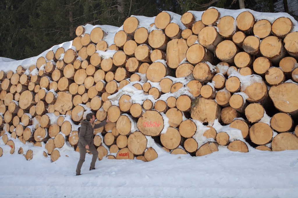 Logpile on the mountainside