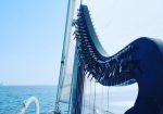 Blue harp on board ship