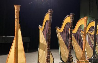 Harps at the Godefroid competition