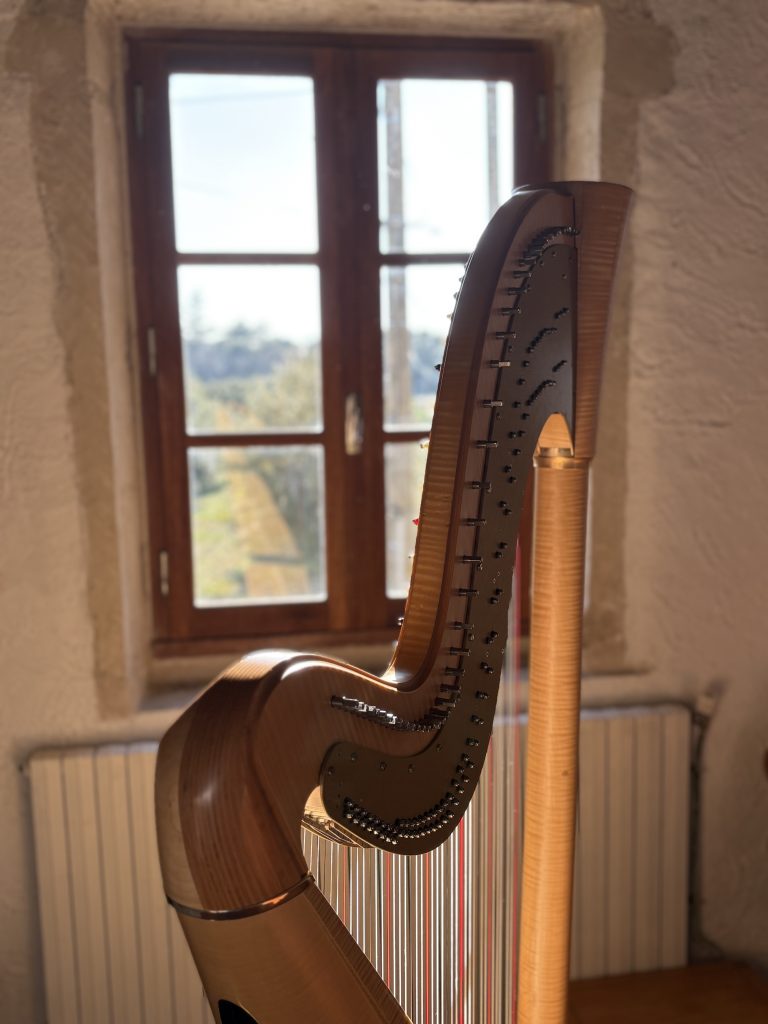 Une harpe Camac dans la lumière provençale